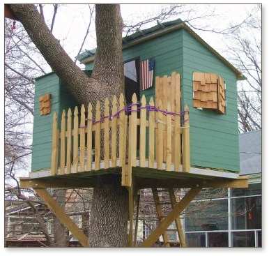 Kauri treehouse with shutters