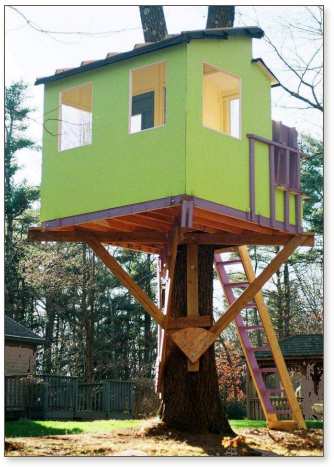 How to build a treehouse in one tree