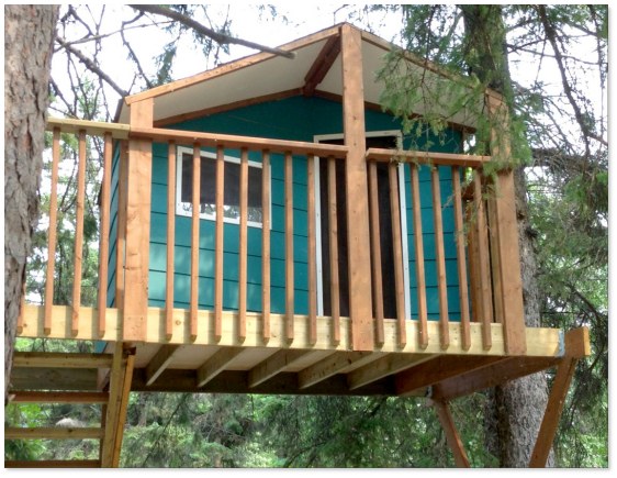 Zelkova treehouse with blue panels and ladder