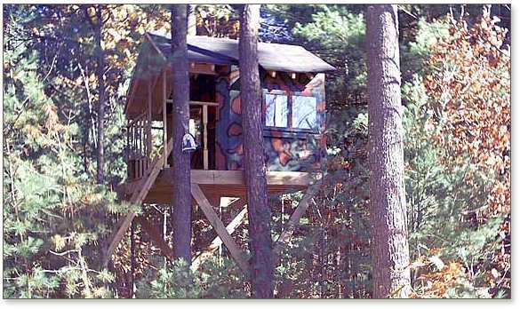 Camouflaged Zelkova treehouse in woods