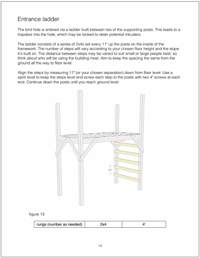 Entrance ladder