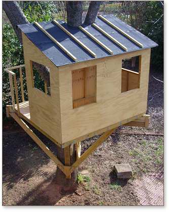 Kauri treehouse from above