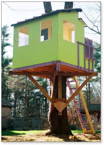 Kauri treehouse painted green